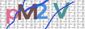 CAPTCHA kód