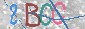 CAPTCHA kód
